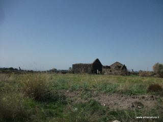 ammena-16-09-2015 11-43-47